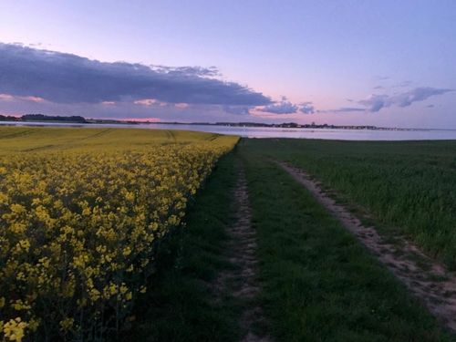 wegzurschlei wegzurschlei