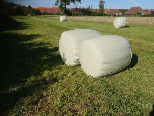 Heulage Anfang Juni für die Winterfütterung bergen Heulage Anfang Juni für die Winterfütterung bergen