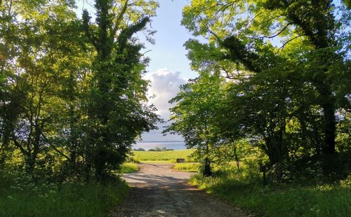 unsere allee unsere allee