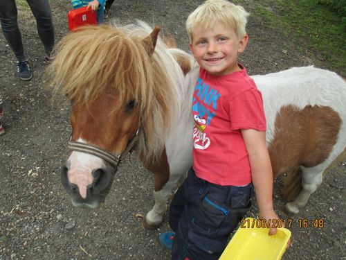 Pony Pony