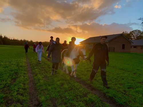 reiten reiten