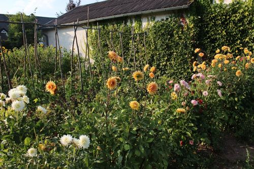 Bauerngarten Bauerngarten
