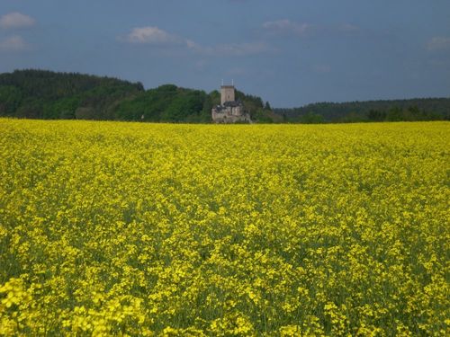 Burg Kerpen im Frühling Burg Kerpen im Frühling