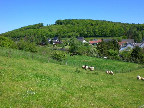 Blick auf Loogh Blick auf Loogh