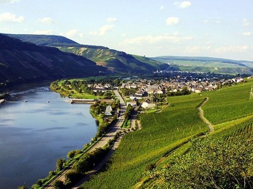 Ausblick auf Wintrich vom großen Herrgott