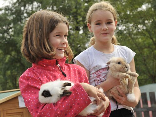 Mit den Tieren kuscheln Mit den Tieren kuscheln