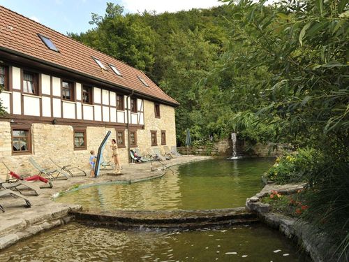 Ökologischer Schwimmteich Ökologischer Schwimmteich