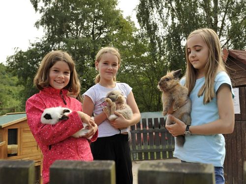 Kinder im Streichelzoo Kinder im Streichelzoo