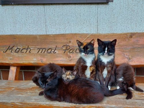 Mach mal Pause