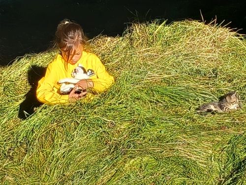 Geborgenheit im Gras