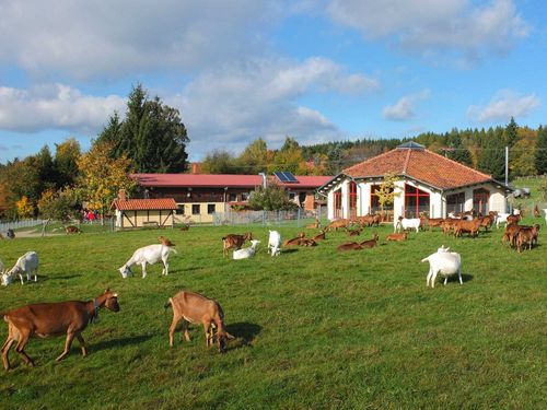 Ziegenalm im Harz Ziegenalm im Harz