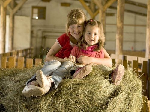 Kinder im Stall Kinder im Stall
