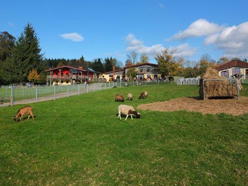 Auf der Ziegenalm Auf der Ziegenalm