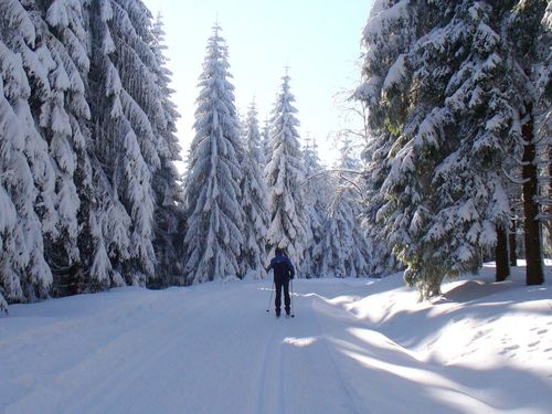 Skilanglauf im Winter Skilanglauf im Winter