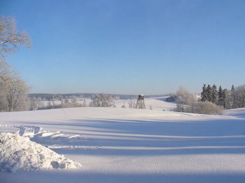 Winterlandschaft Winterlandschaft