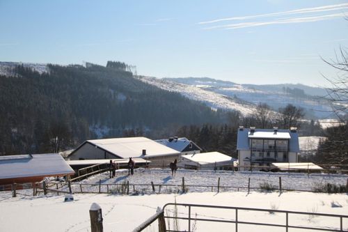 bild2 bild2