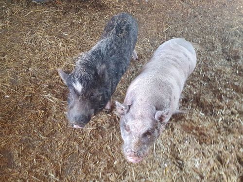 Eberhard und Ursula Eberhard und Ursula