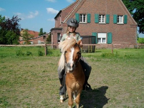 Reiten jederzeit Reiten jederzeit
