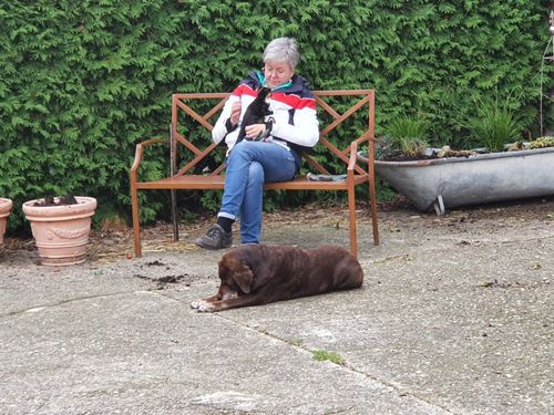 Gabi mit Katze und Hund Gabi mit Katze und Hund