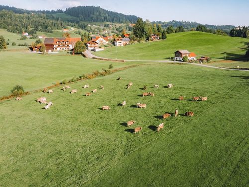 DJI_20250930220719_0030_D DJI_20250930220719_0030_D
