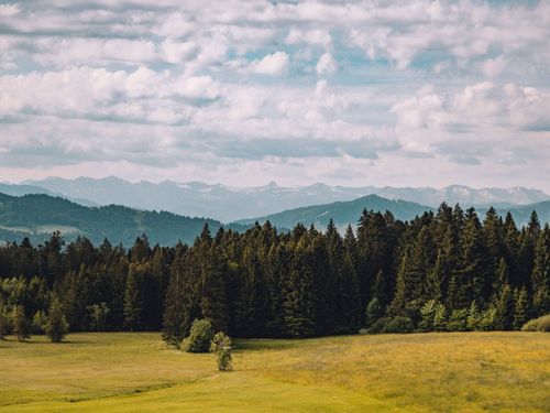 Bergblick Bergblick