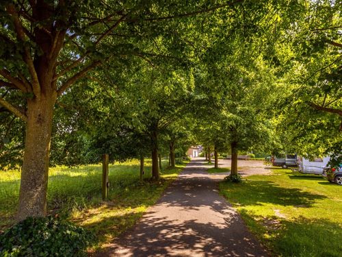 Drostenhof Zufahrt Drostenhof Zufahrt