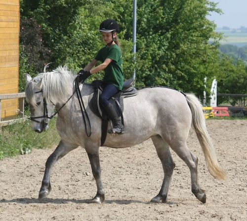 Schulpony Betty Schulpony Betty