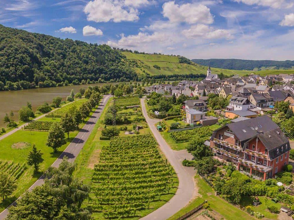 Weingut Kreuz-Bauer in Minheim an der Mosel Weingut Kreuz-Bauer in Minheim an der Mosel