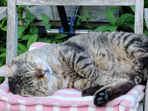 Relaxen