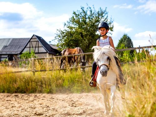 Urlaubshof Pferd-Spaß-Entspannung: Ponyreiten Urlaubshof Pferd-Spaß-Entspannung: Ponyreiten