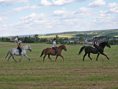 Reiten im Gelände Reiten im Gelände