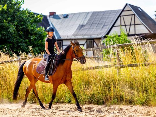 Urlaubshof Pferd-Spaß-Entspannung: Reitunterricht Urlaubshof Pferd-Spaß-Entspannung: Reitunterricht