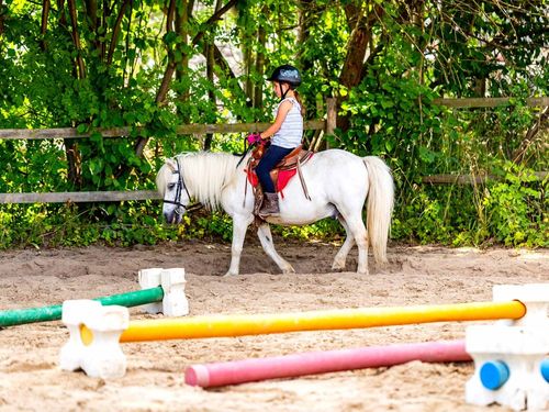 Reitunterricht auf dem Reitplatz Reitunterricht auf dem Reitplatz