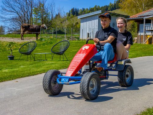 Spielespaß am Biohof Mayer