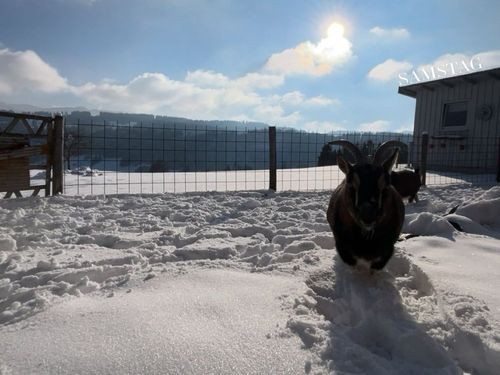 Winterbild