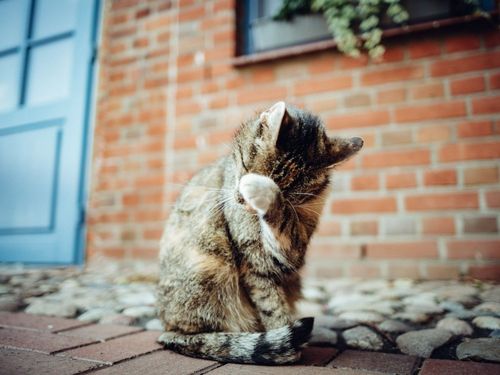DSC02983-2 DSC02983-2