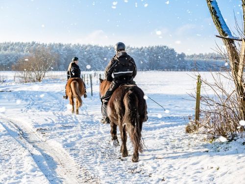 Ausritt im Winter Ausritt im Winter