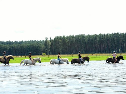 Ausritt im Sommer Ausritt im Sommer