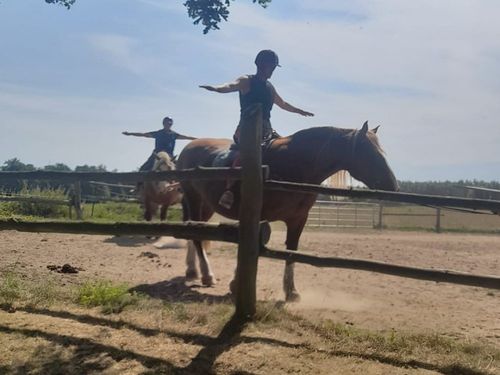 Reitunterricht