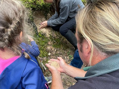 Waldpirsch mit dem Förster