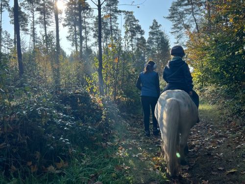 Spaziergang mit dem Pony durch die Natur
