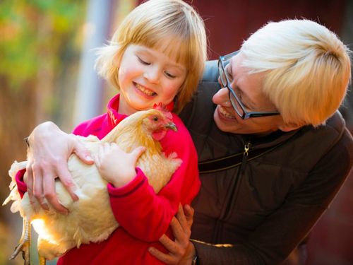 Tiere am Hof Tiere am Hof