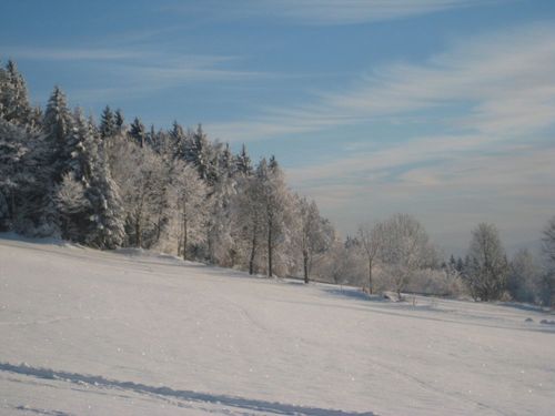 Winterstimmung Winterstimmung