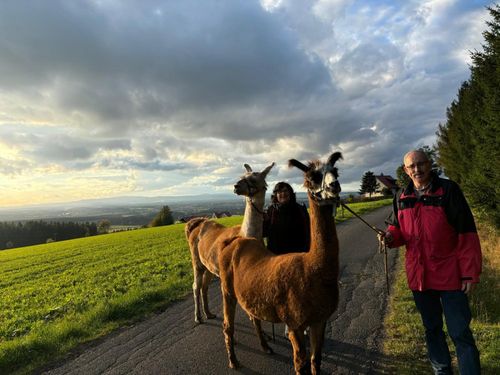 Lamawanderung 7 km vom Birkholmhof