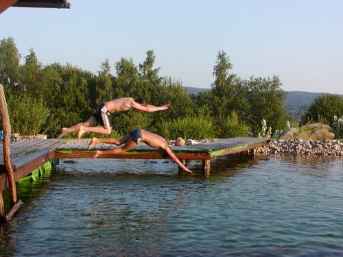 schwimmteich_jonas_bene