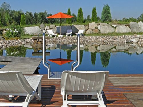 Naturpool mit Liegebereich