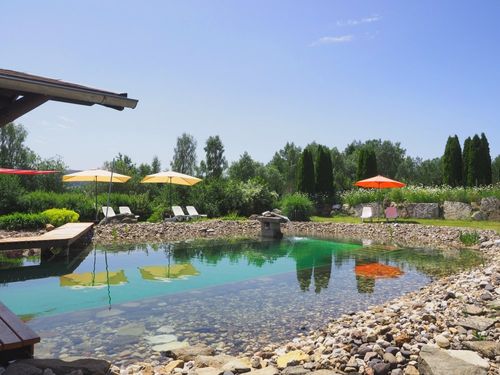 Bio Schwimmteich am Birkholmhof