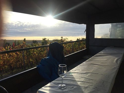Weinbergtour Weinbergtour