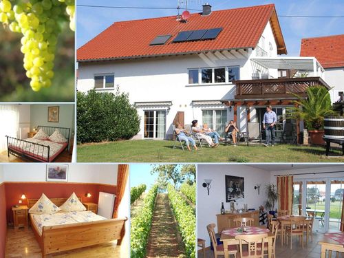 Weingut & Gästehaus Merz Weingut & Gästehaus Merz