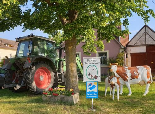 Traktor im Garten Traktor im Garten